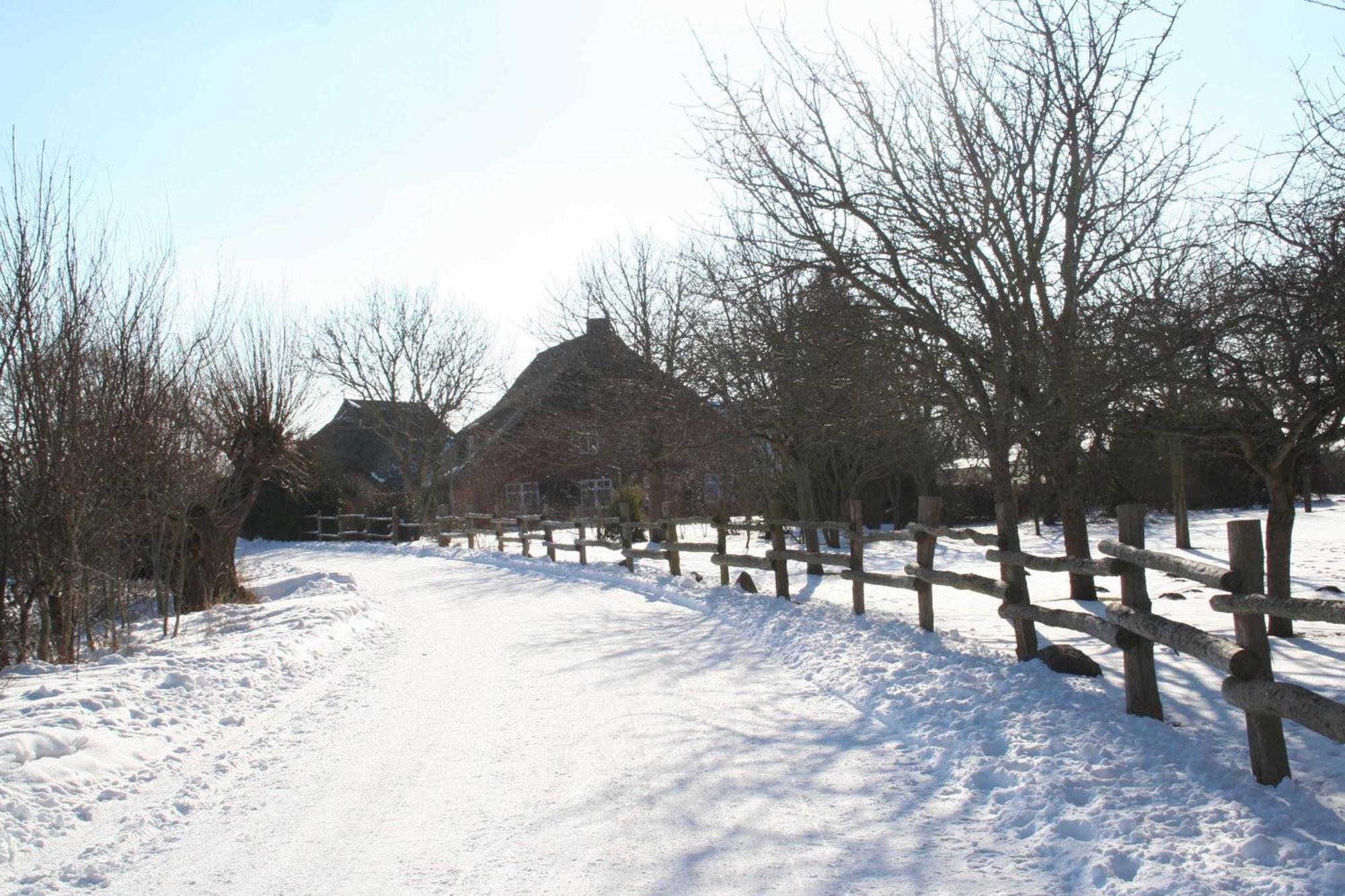 Boddenblick Fw Marlen Villa Barnstorf Buitenkant foto