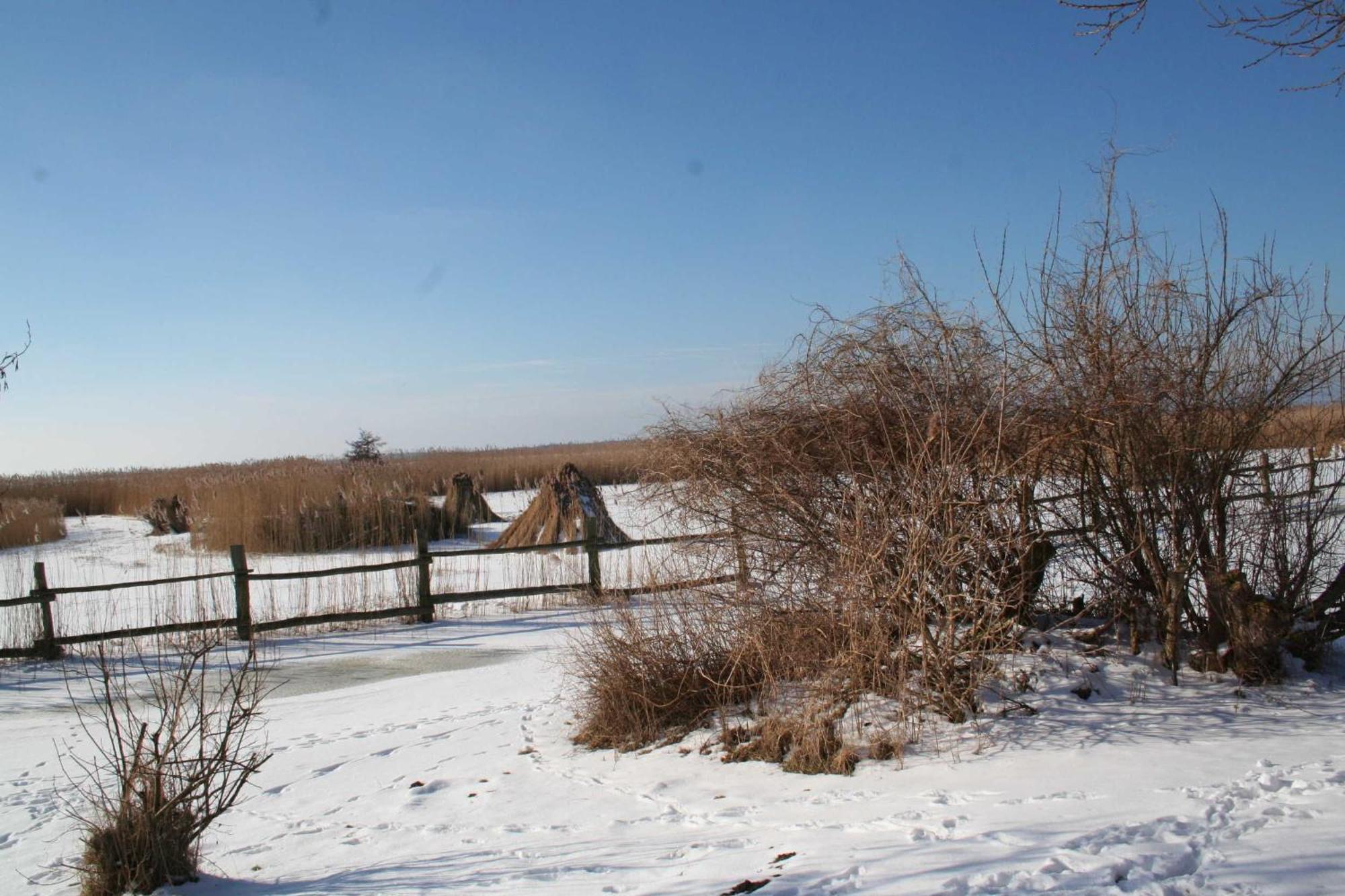 Boddenblick Fw Marlen Villa Barnstorf Buitenkant foto